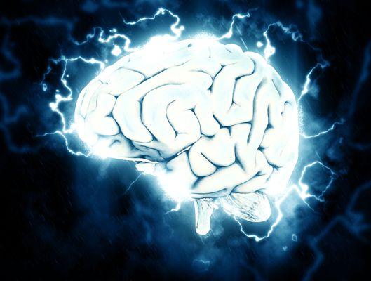 CPD: Cognitive Science for Teachers Level 2 - Seneca Certified Educator